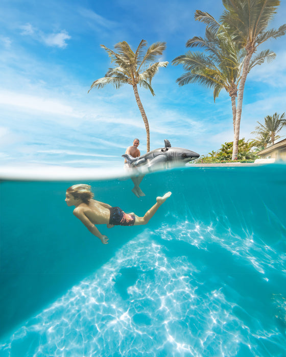 Intex Great White Shark